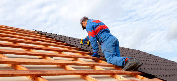 Best Sheet Metal Roofing  in Newport, DE